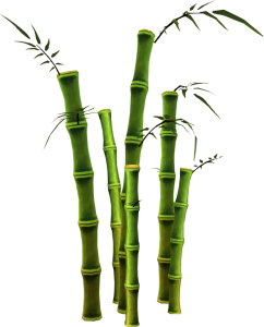 Bamboo PNG-63794